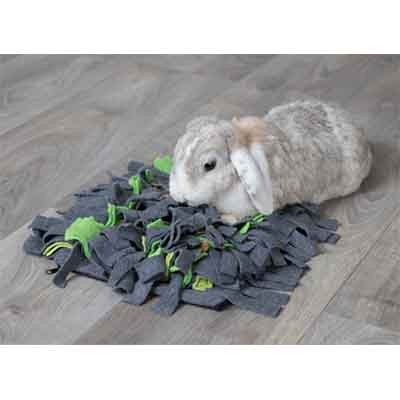 Juguetes y accesorios para conejos - De Conejos  Juguetes para mascotas,  Conejos, Juguetes de conejo